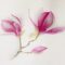 Magnolia