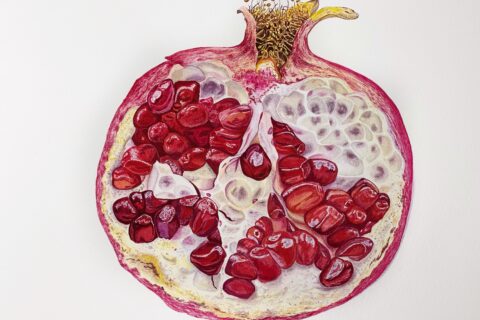 Pomegranate