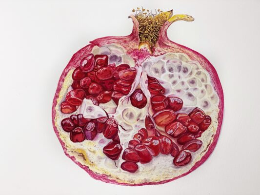 Pomegranate