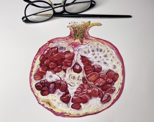 Pomegranate
