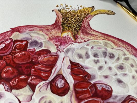 Pomegranate