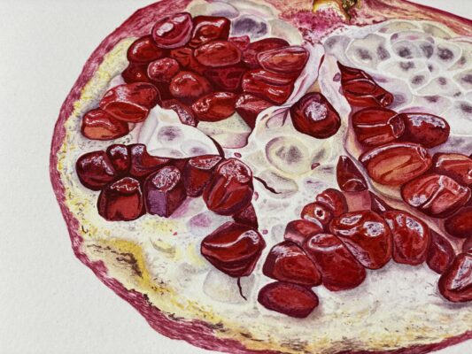 Pomegranate