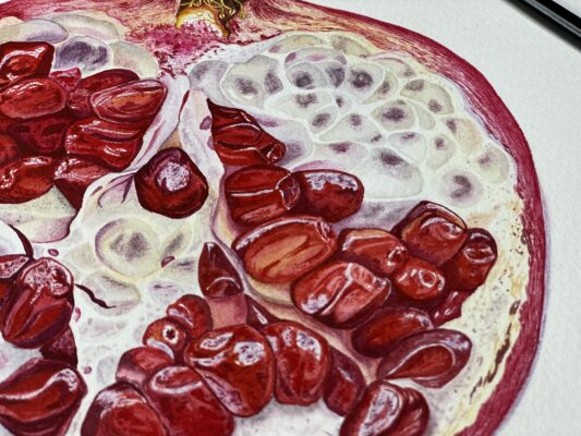 Pomegranate
