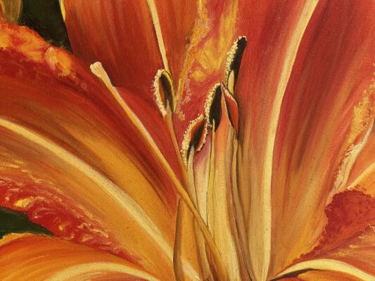 Lily
