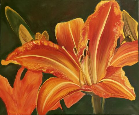 Lily