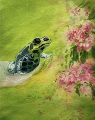 Paradise frog