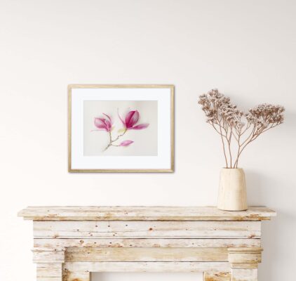 Magnolia