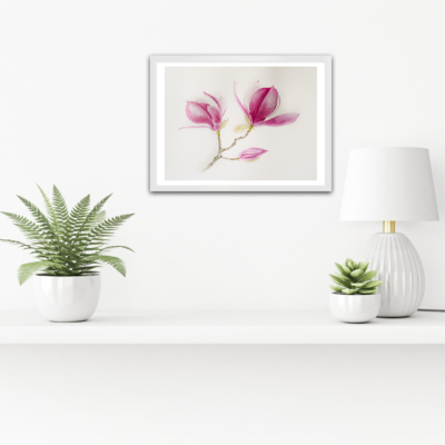 Magnolia